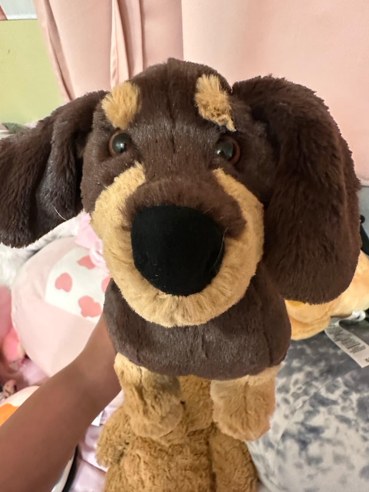 Big Hound Dog