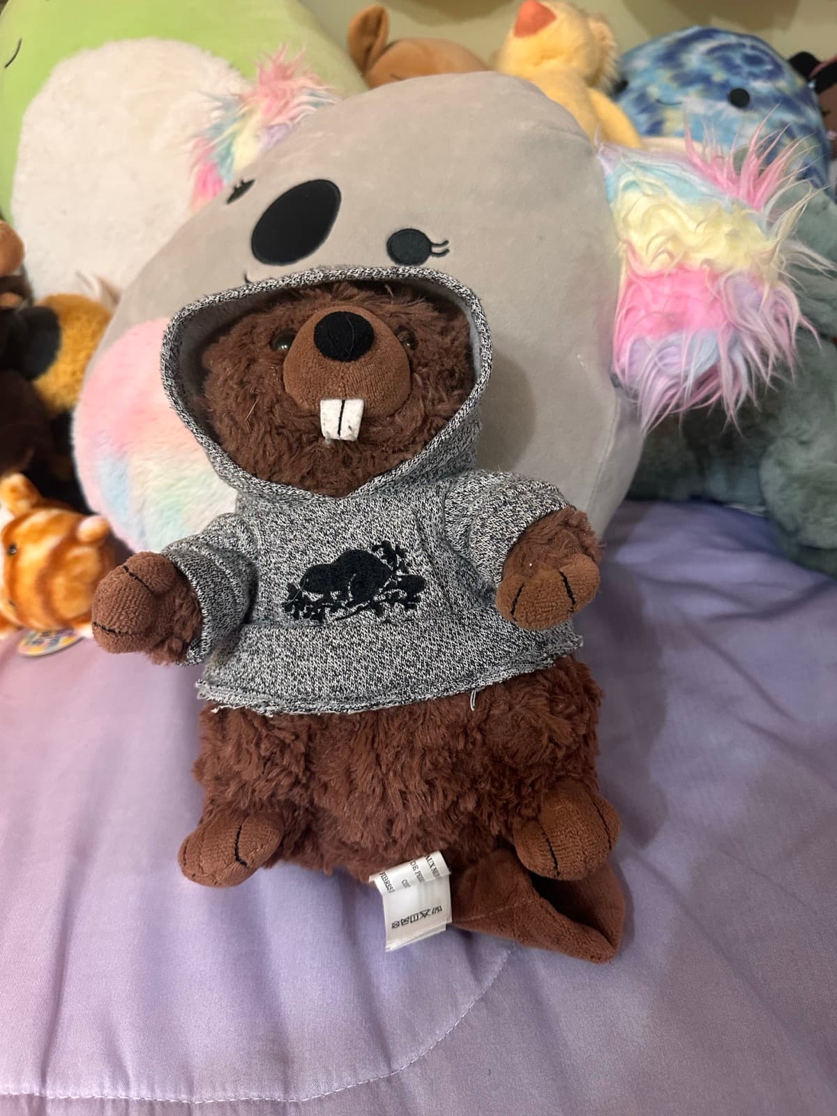 Roots Beaver in a Salt & Pepper Hoodie