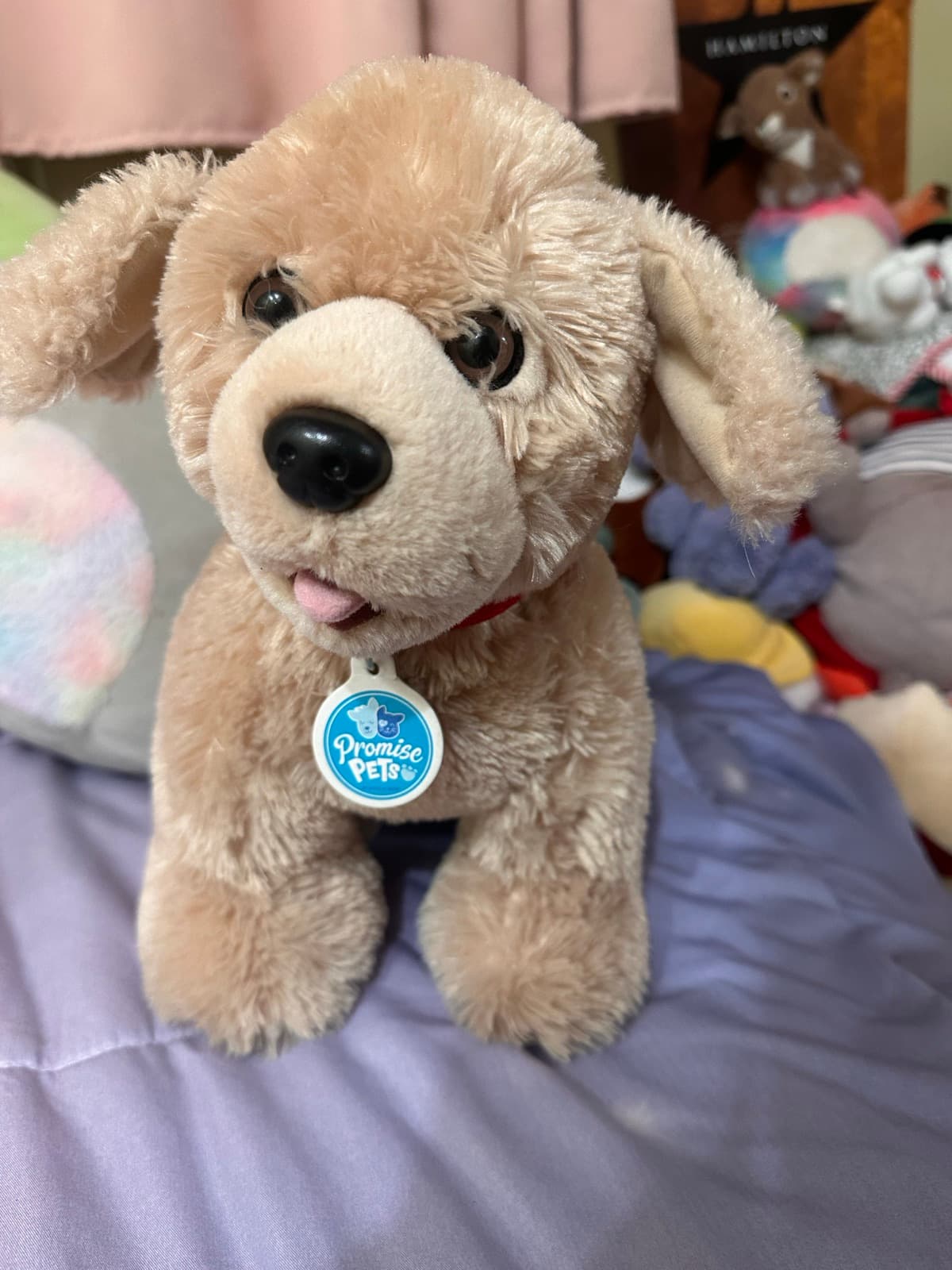 Promise Pets Golden Retriever