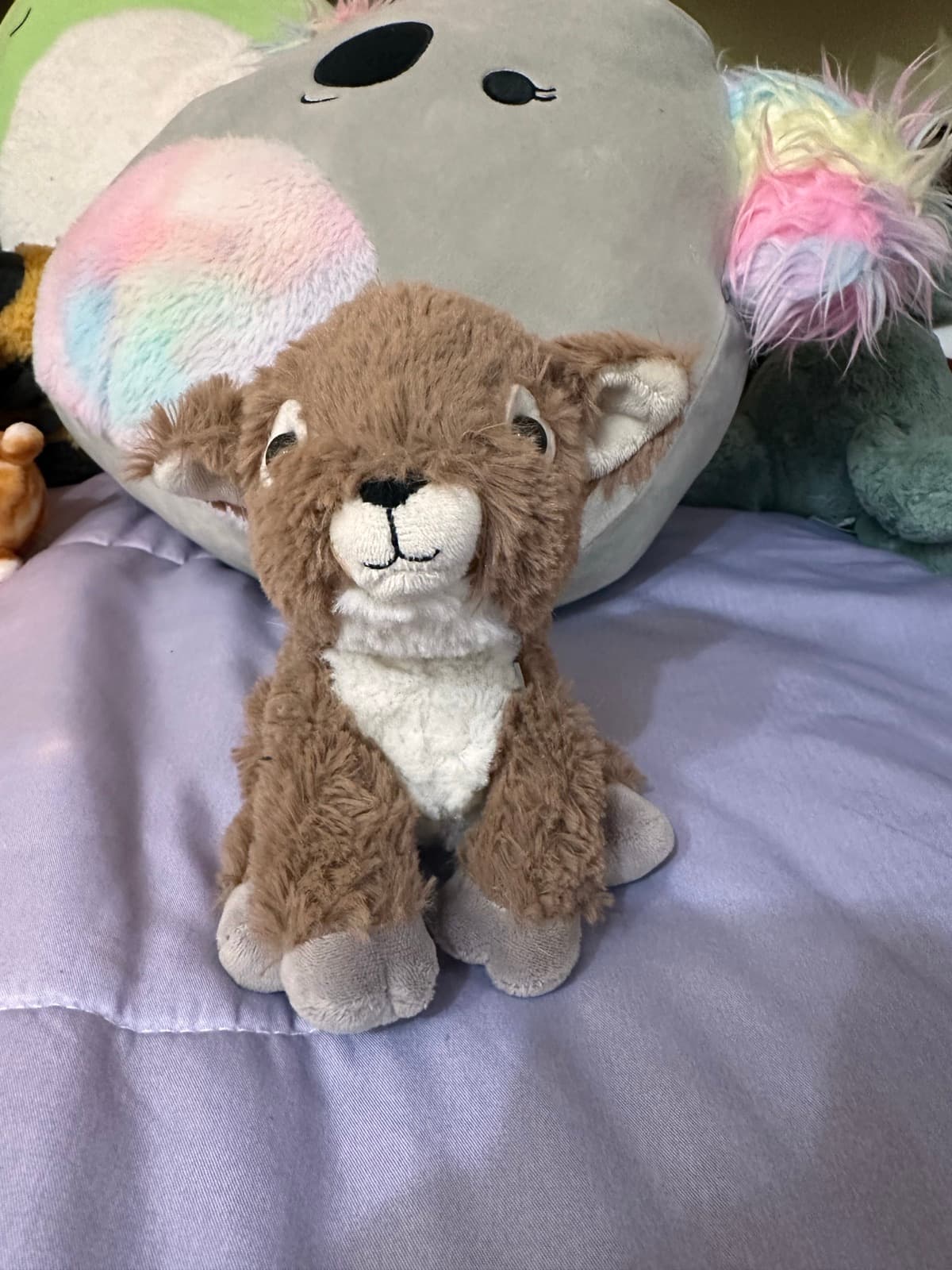 Wolf Cub