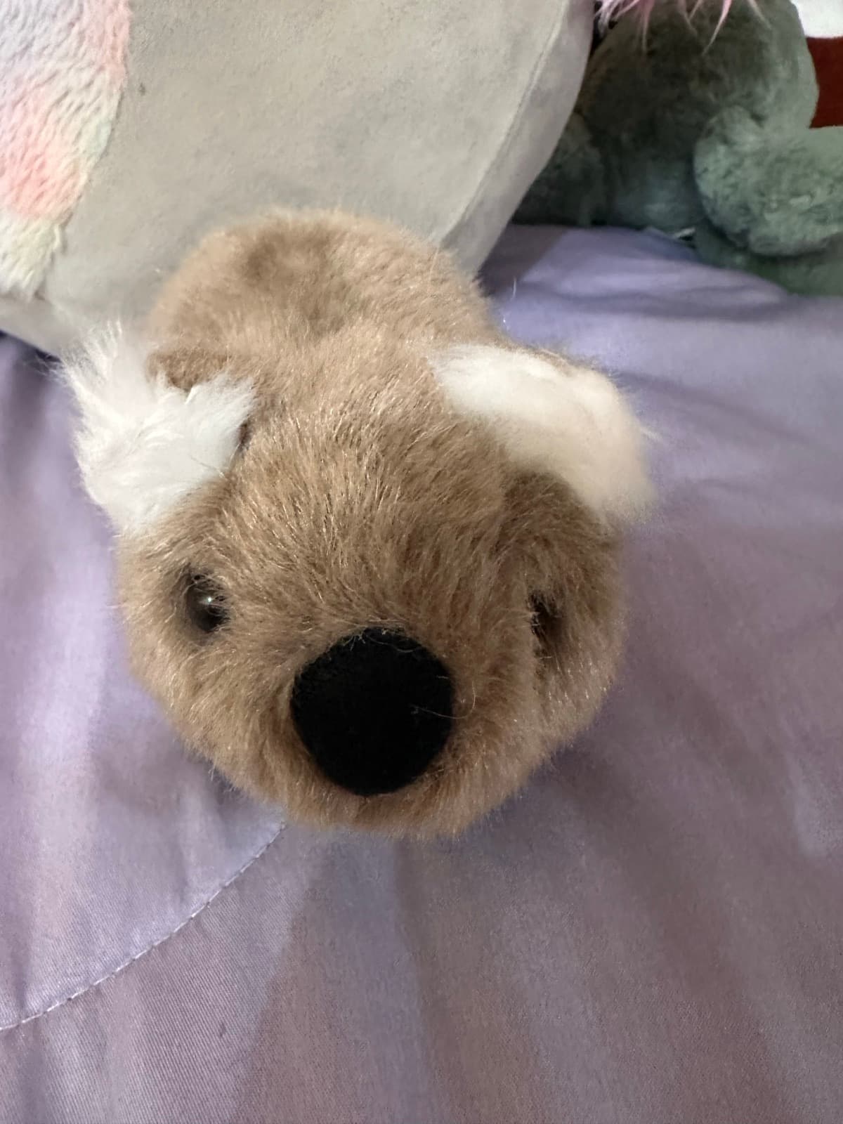 Realistic Koala